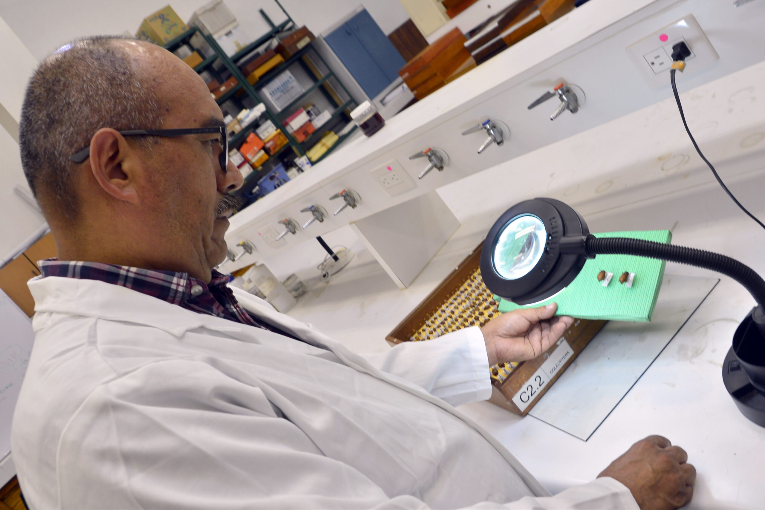 BUAP se posiciona entre universidades líderes en recursos Prodep y consolidación académica