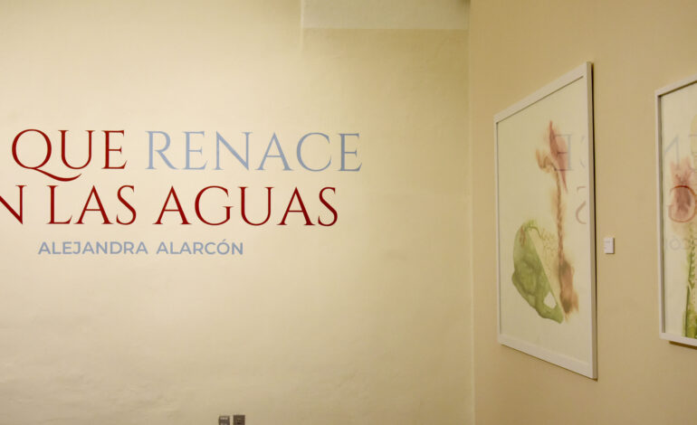 Alejandra Alarcón presenta la exposición «La que renace en las aguas» en el edificio Carolino