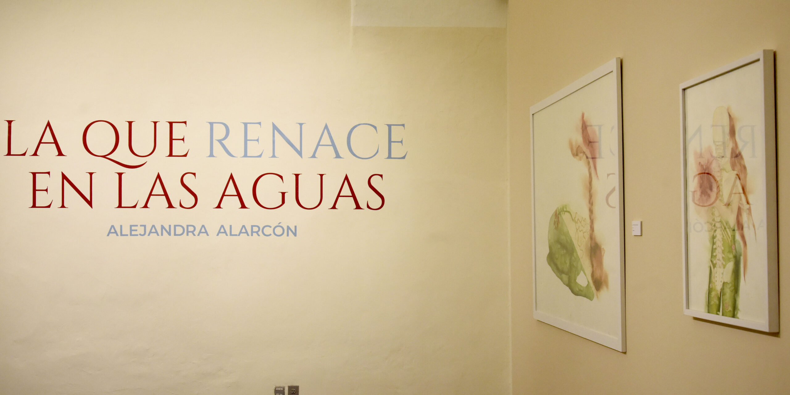 Alejandra Alarcón presenta la exposición «La que renace en las aguas” en el edificio Carolino
