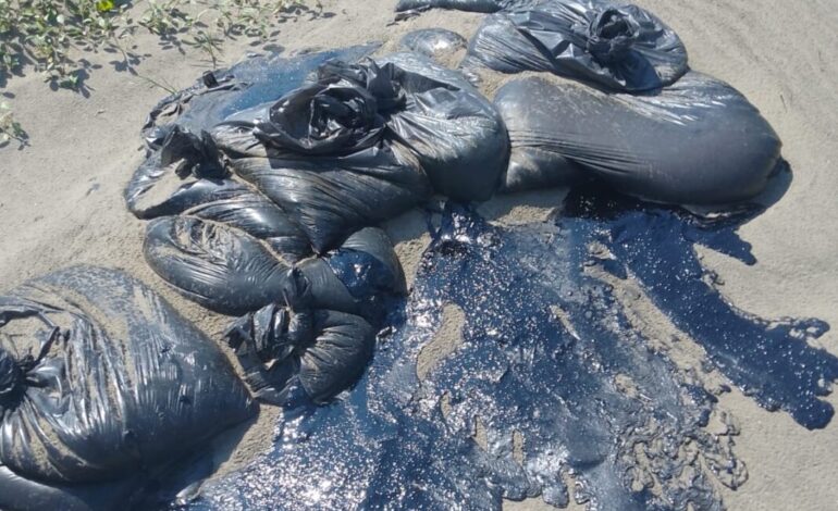 Chapopote continúa en las playas veracruzanas; alcanzó 81 sitios en abril