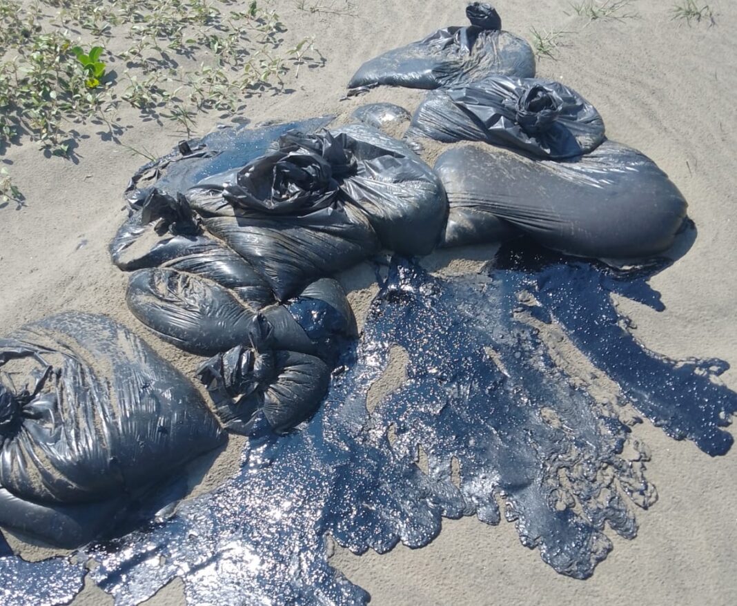 Chapopote continúa en las playas veracruzanas; alcanzó 81 sitios en abril