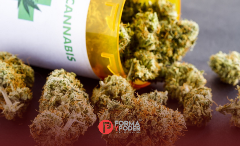 Estados Unidos reclasifica la marihuana medicinal como droga menos peligrosa