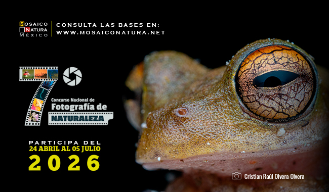 Convocan concurso nacional de fotografía sobre biodiversidad mexicana