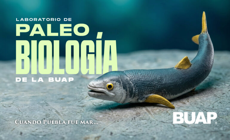 Laboratorio de Paleobiología de la BUAP, evidencia de vida del pasado para interpretar el presente y vislumbrar un futuro