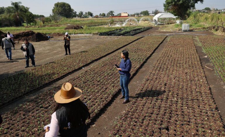 Con respuesta inmediata, Gobierno de Puebla atiende afectaciones por granizada en Atlixco