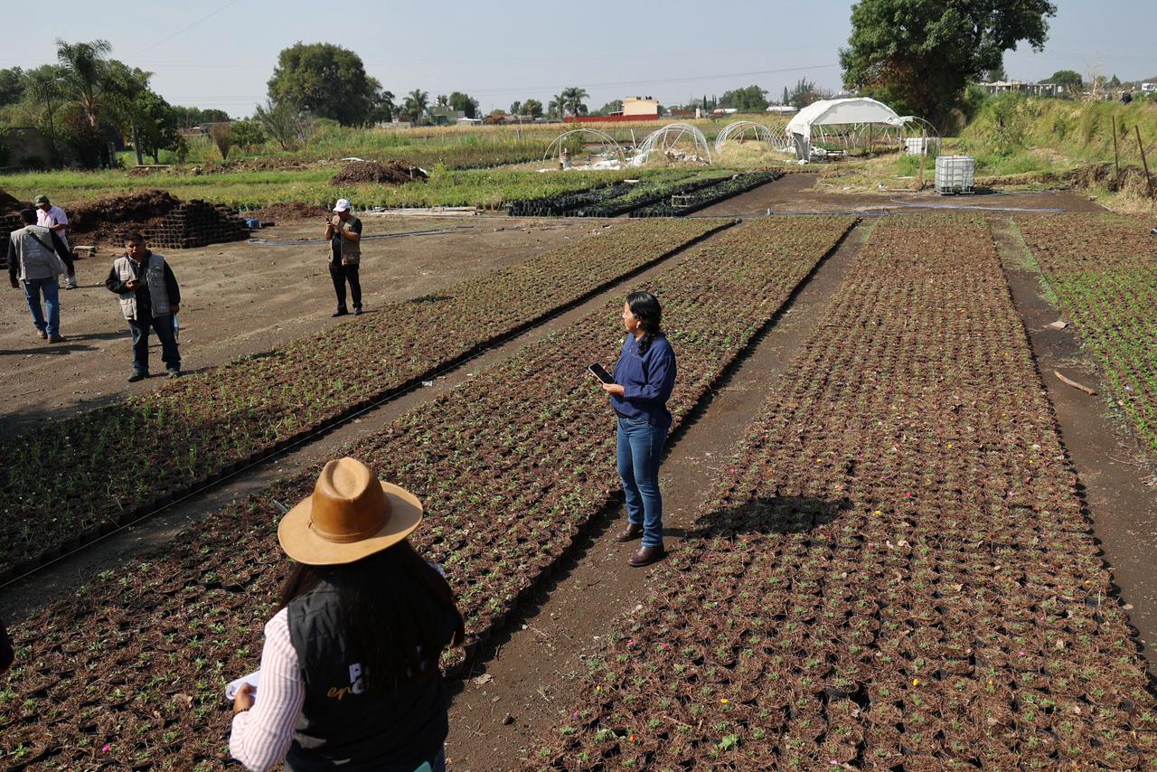 Con respuesta inmediata, Gobierno de Puebla atiende afectaciones por granizada en Atlixco