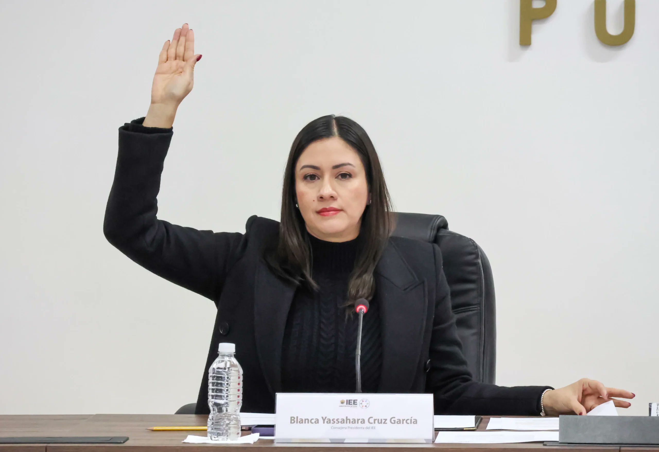 Blanca Yassahara Cruz rendirá protesta hoy ante Consejo General del INE