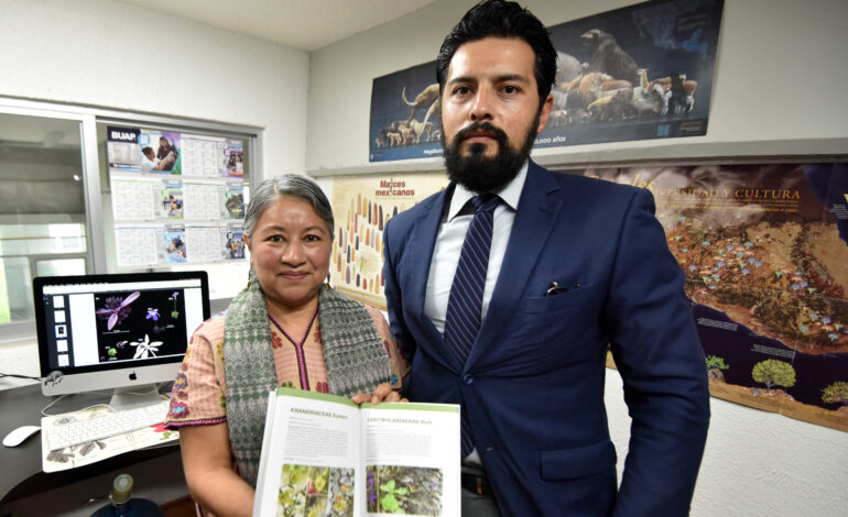 Nueva especie de planta carnivora es descubierta por investigadores de la BUAP