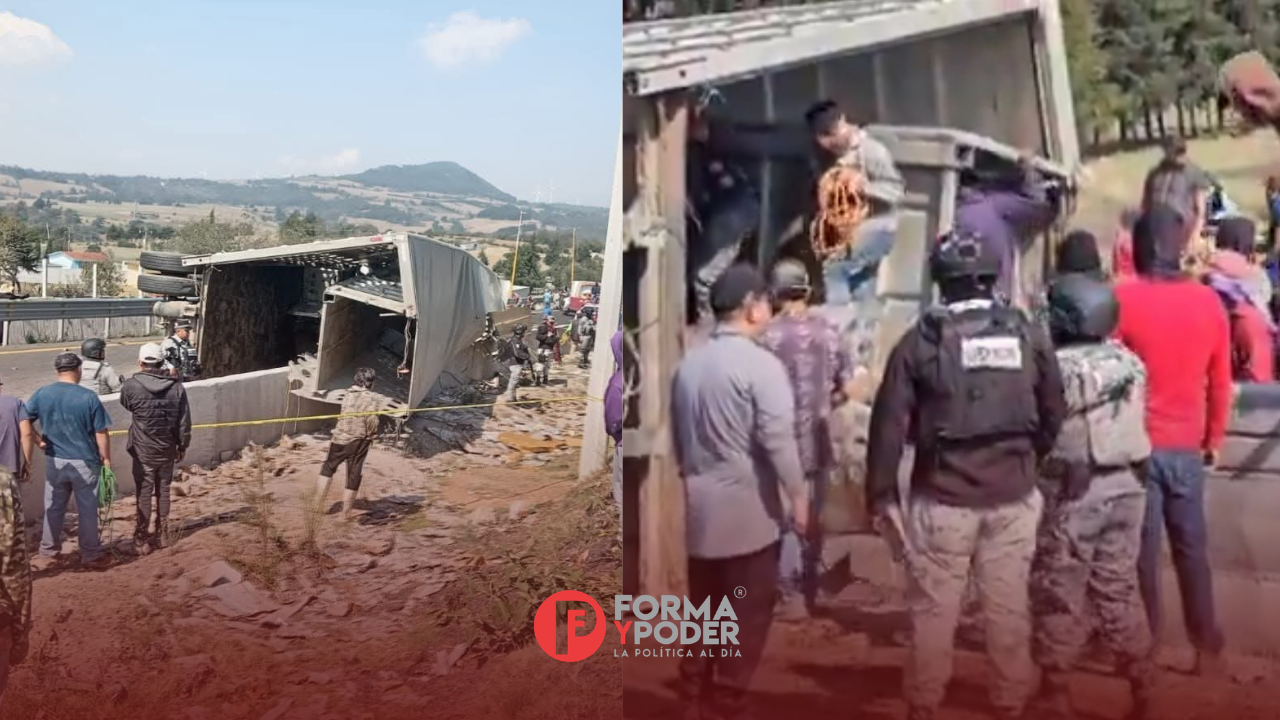 Se desata rapiña tras volcadura de tráiler con ganado sobre la autopista Puebla-Orizaba