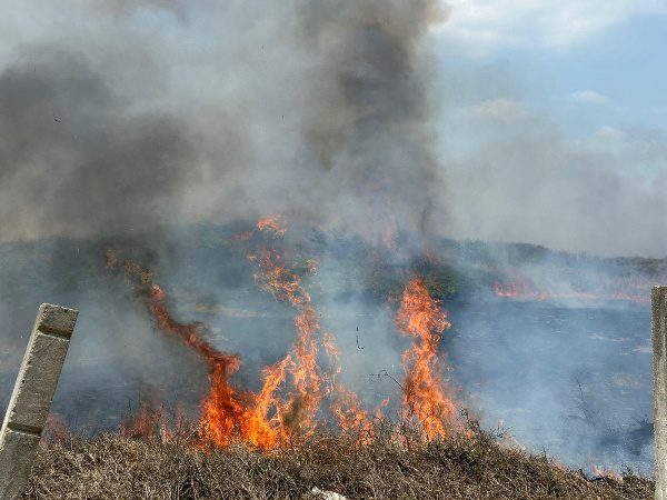 Lluvias en Veracruz han favorecido a la disminución de incendios forestales: Conagua