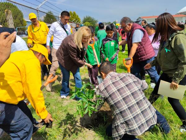 Con 500 árboles, refuerzan la conservación                             ambiental en San José Chiapa