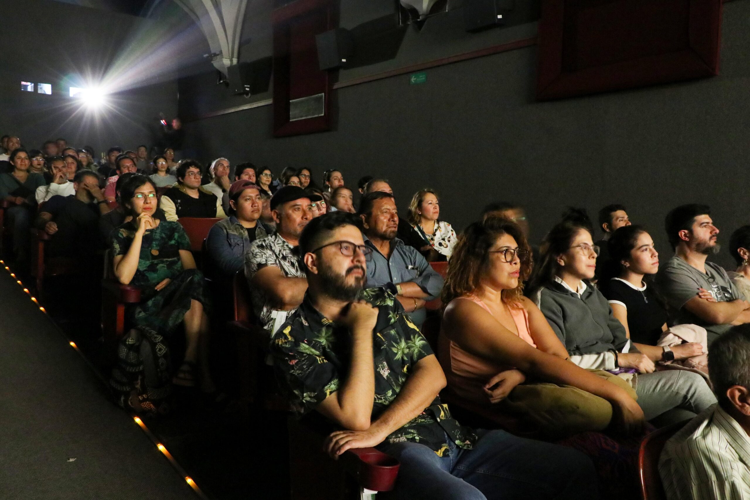 Cinemateca «Luis Buñuel» exhibirá la 79 Muestra Internacional de la Cineteca Nacional