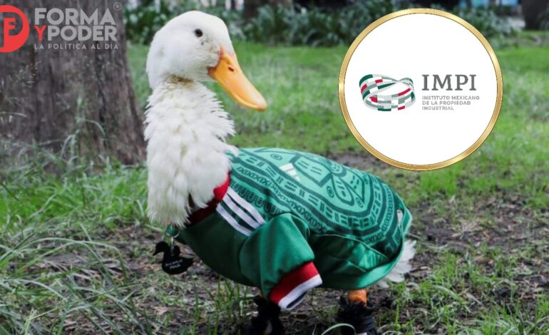 Pato Merlín: termina la polémica                                                por su registro ante el IMPI