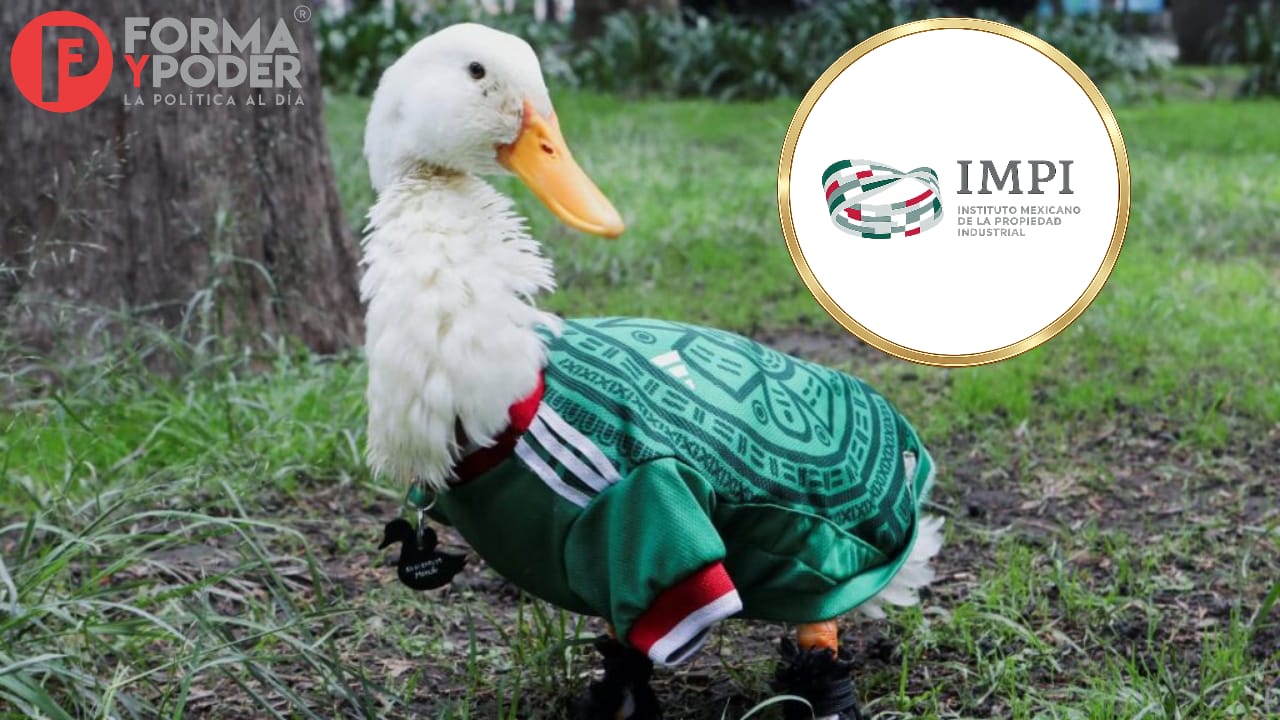 Pato Merlín: termina la polémica                                                por su registro ante el IMPI