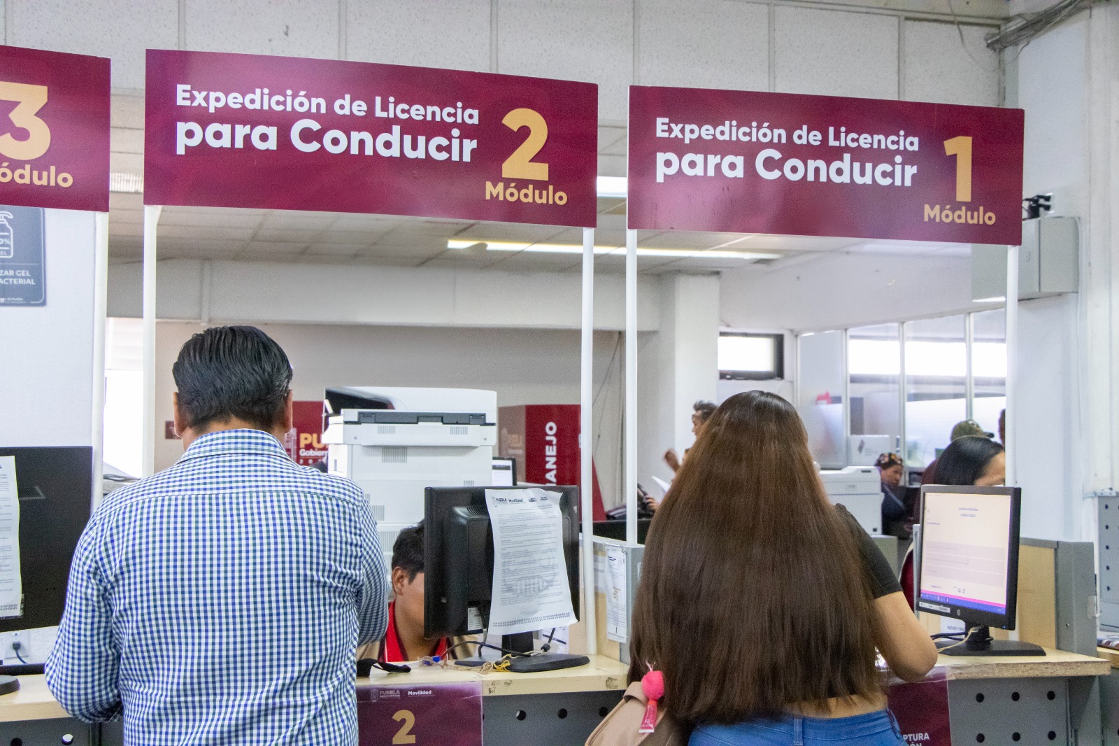 Presenta gobierno estatal guía de estudio para                     obtención de licencias de conducir