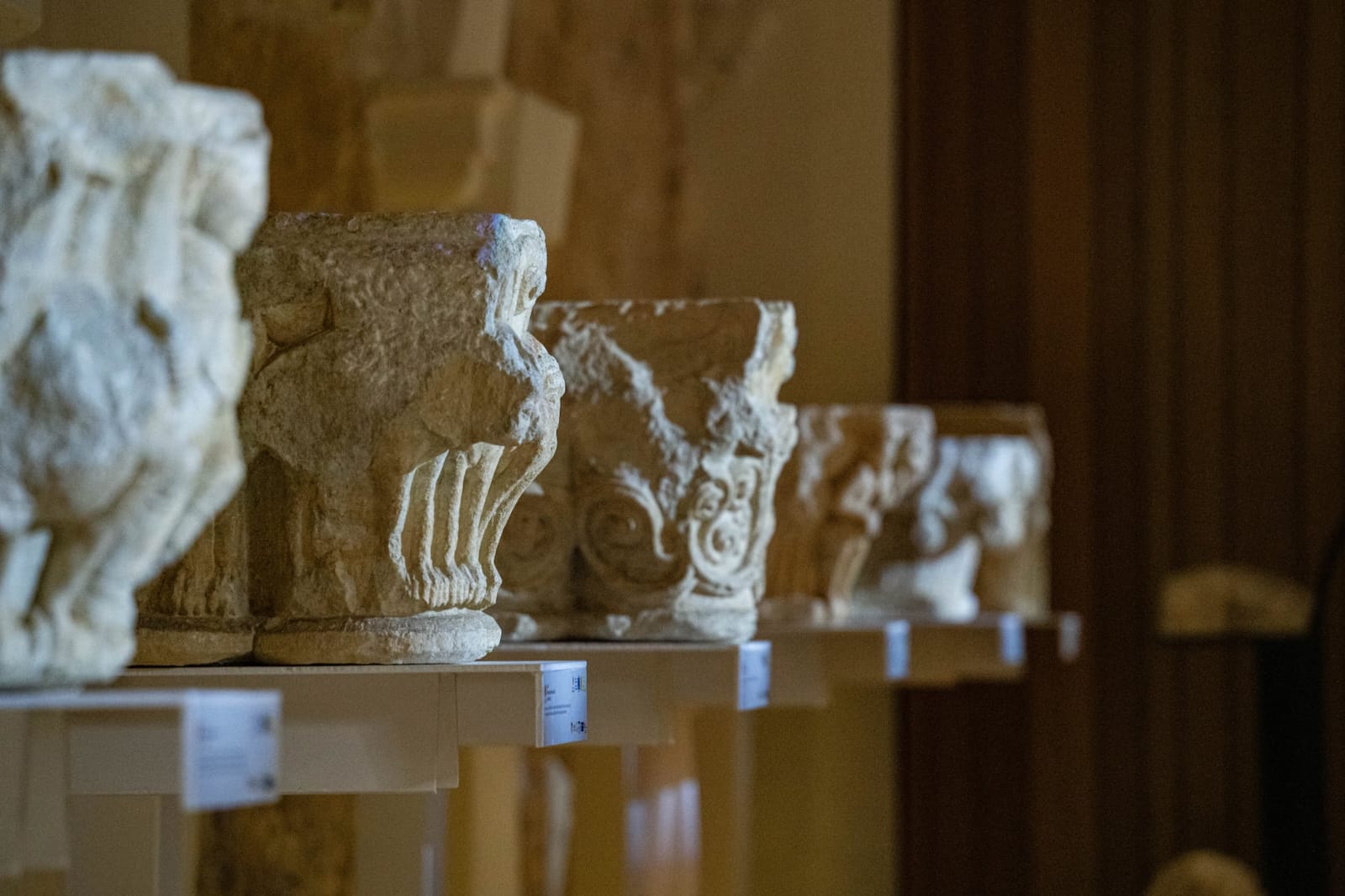 San Zoilo recupera el esplendor de su claustro medieval