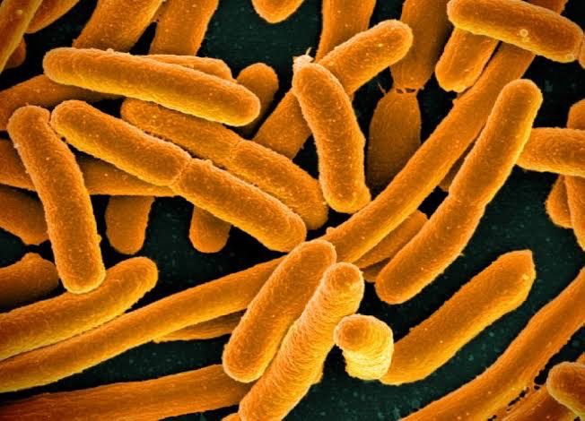 Infección urinaria permaneció dos años en el organismo y terminó afectando el cerebro