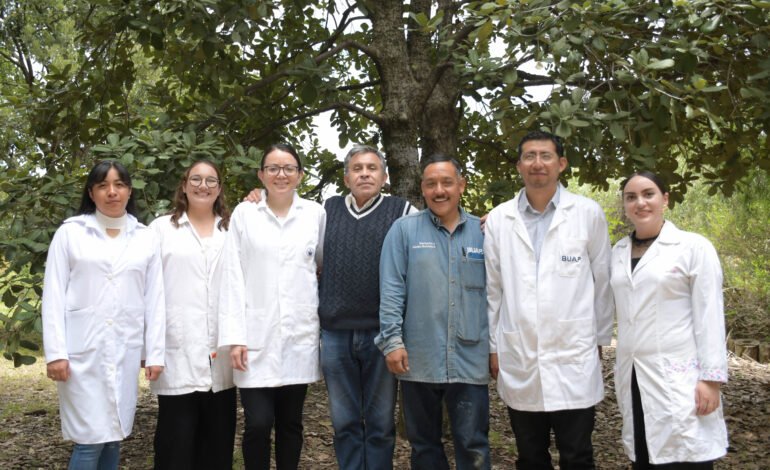 Investigadores de la BUAP combaten plagas en árboles con 90% de efectividad usando nanomateriales