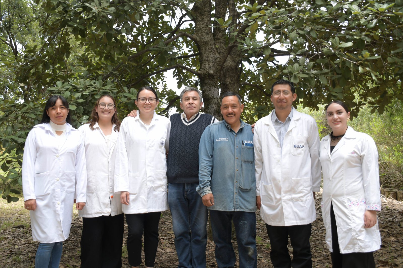 Investigadores de la BUAP combaten plagas en árboles con 90% de efectividad usando nanomateriales