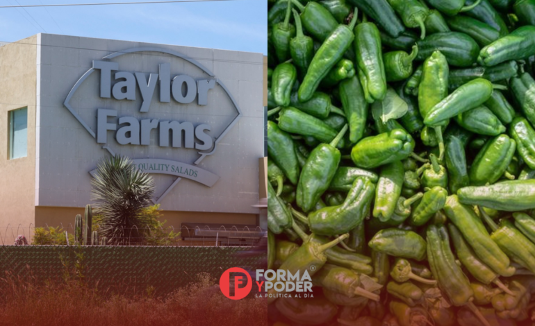 Taylor Farms retira de mercados estadounidenses productos con jalapeño por posible salmonela