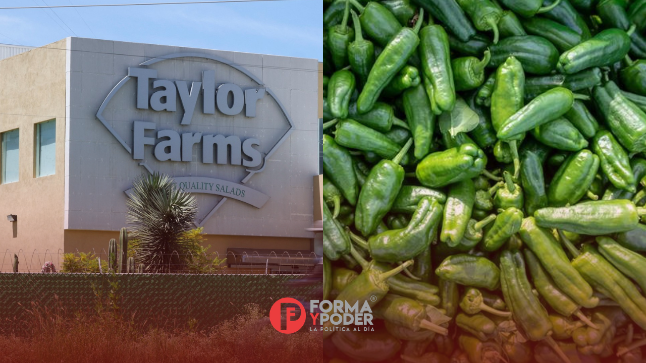 Taylor Farms retira de mercados estadounidenses productos con jalapeño por posible salmonela