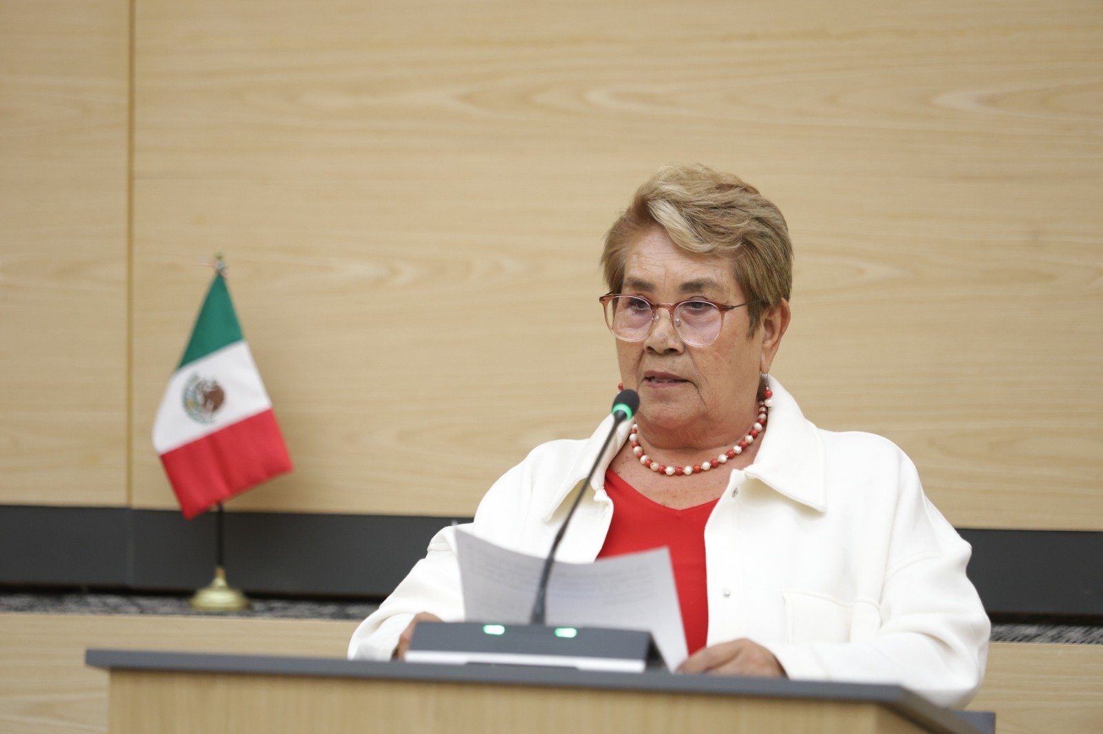 Impulsan iniciativa para incorporar el principio de accesibilidad en la Ley de Desarrollo Social 