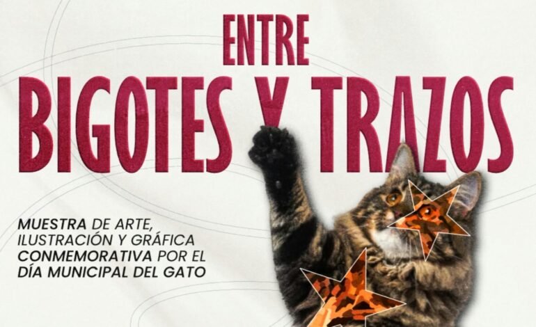 IMACP convoca muestra artística por Día Municipal del Gato