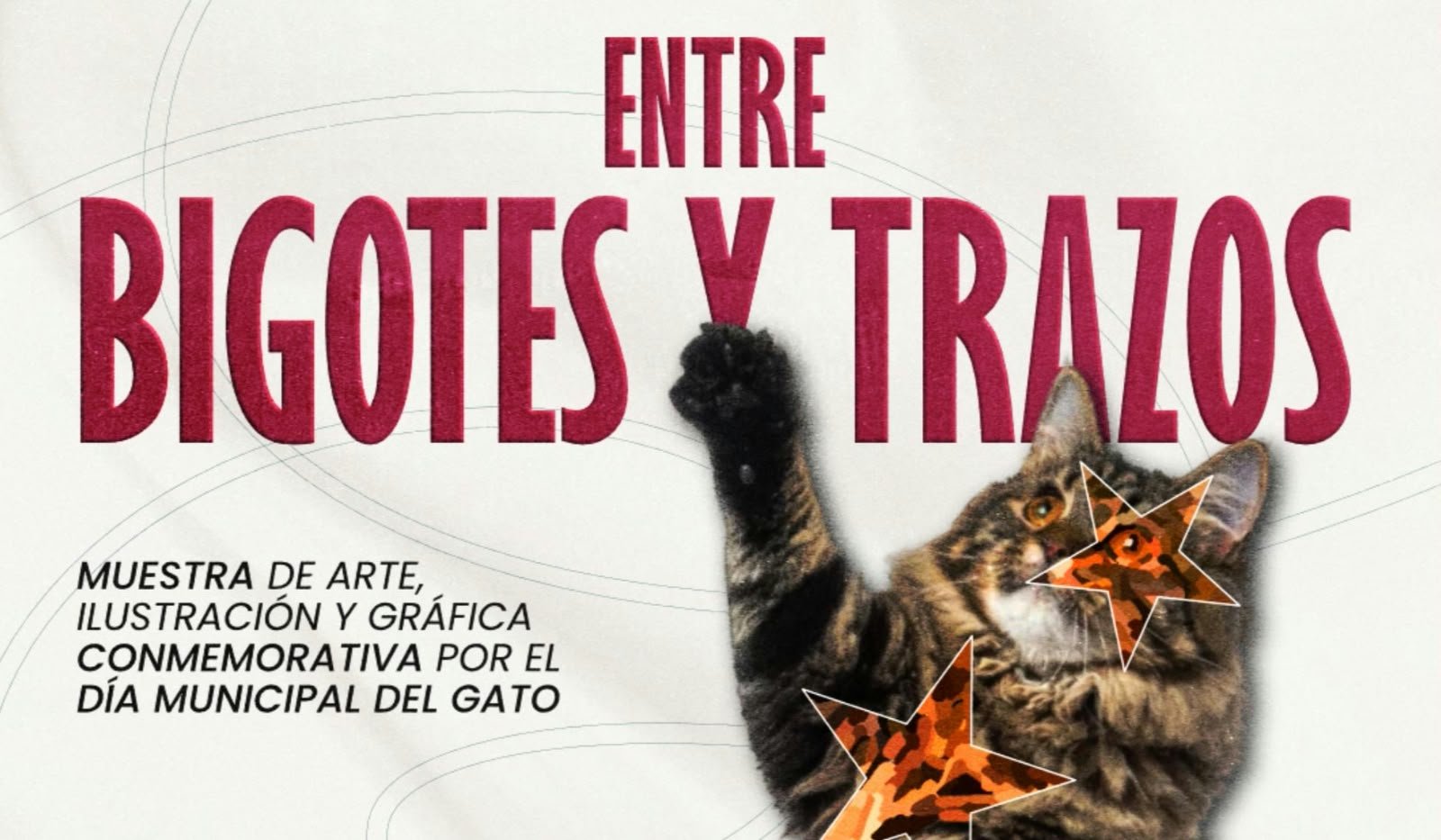 IMACP convoca muestra artística por Día Municipal del Gato