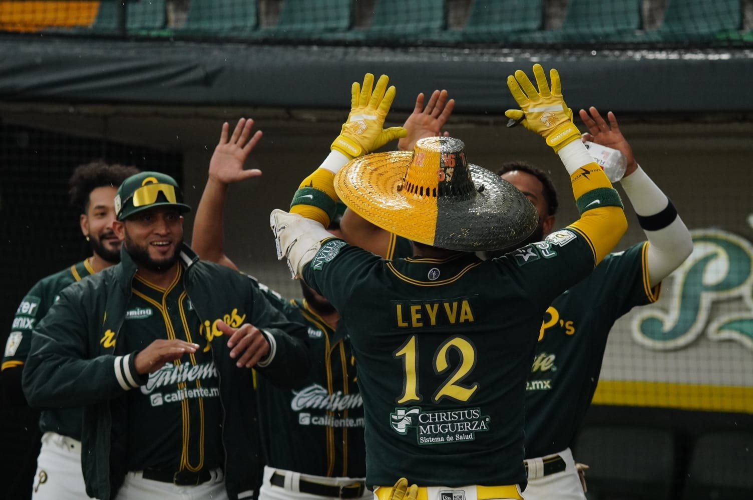 Pericos avanza a la Serie de Zona del Sur