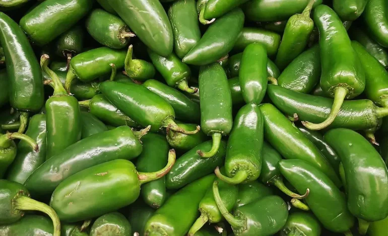 Estados Unidos investiga brote de salmonela por jalapeños mexicanos importados