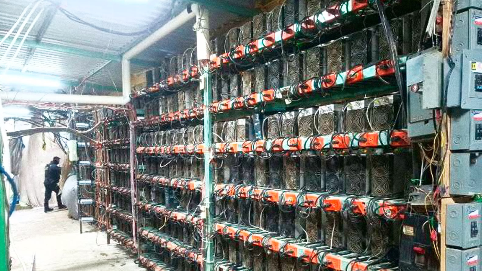 FGR, Marina y SSPE desmantelan inmueble con 300 equipos de criptominería