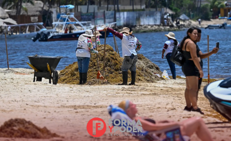 Sargaceros del Caribe enfrentan gases tóxicos y graves riesgos para su salud