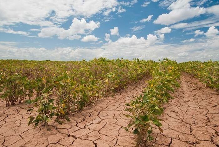 El cambio climático amenaza la producción de alimentos