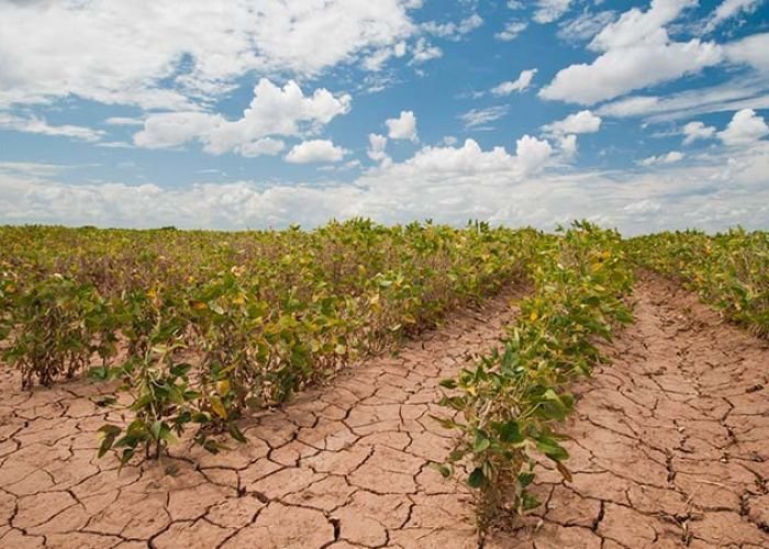 El cambio climático amenaza la producción de alimentos