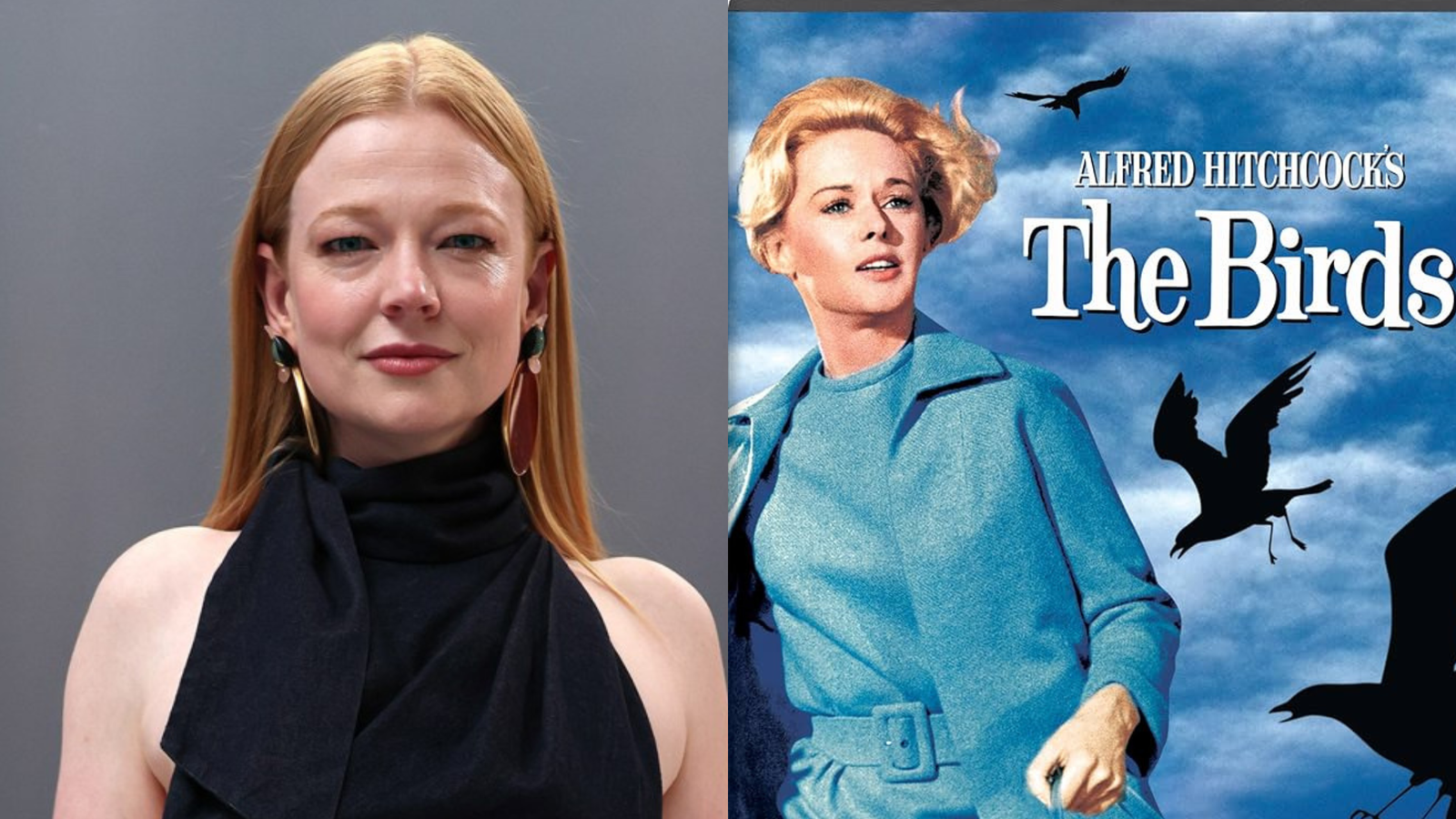 HBO adaptará «Los Pájaros» de Hitchcock en formato de miniserie con Sarah Snook