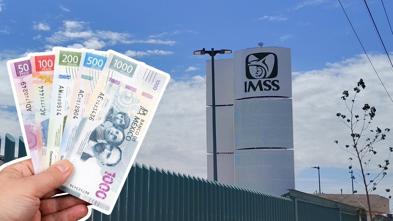 ¿Cuánto ganan los trabajadores del IMSS en 2026? Estos son los sueldos de médicos y enfermeras