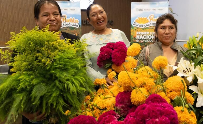 Puebla florece como principal productor de cempasúchil en México