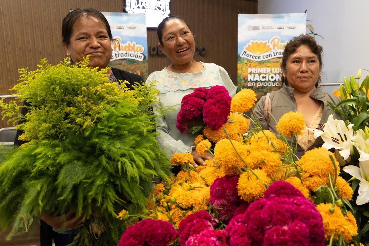 Puebla florece como principal productor de cempasúchil en México